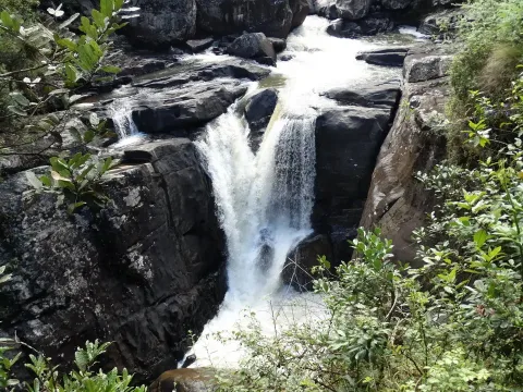 Nationalpark Ranomafana