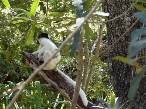 Nationalpark Isalo