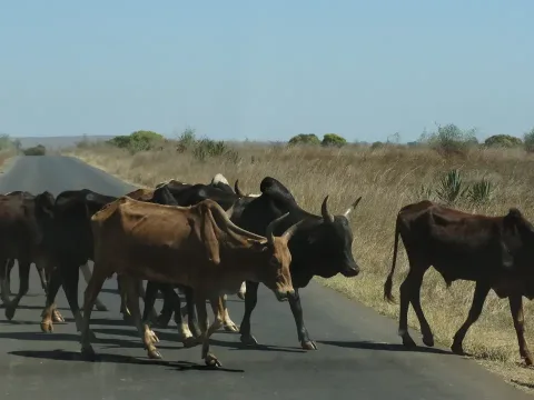 Richtung Toliara
