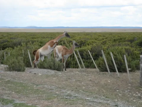 Tierra del Fuego