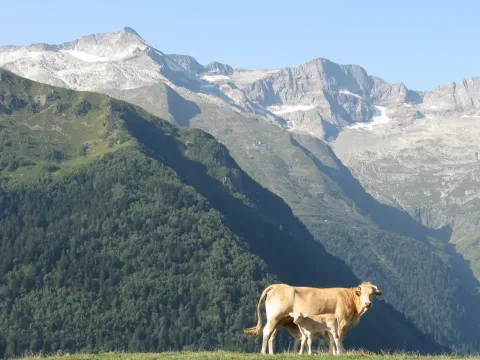 Franske Pyreneene