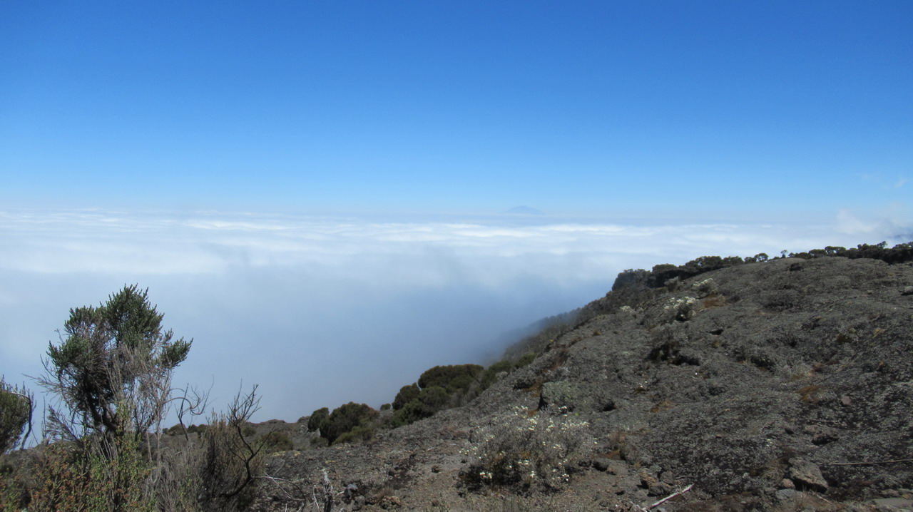 Kilimanjaro 2 da Machame Camp (2.865 mt.) a Shira Camp (3.810 mt.)
