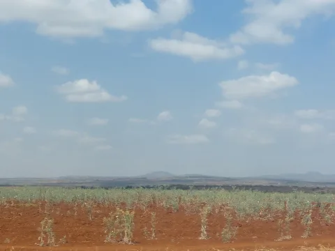 Jezioro Manyara i Jezioro Eyasi