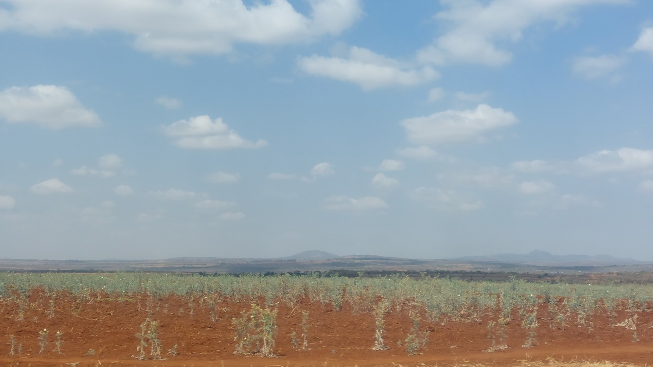 Manyara National Park e Eyasi Lake