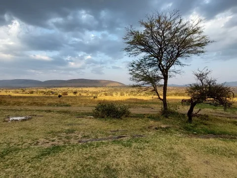 Serengeti – rzeka Mara