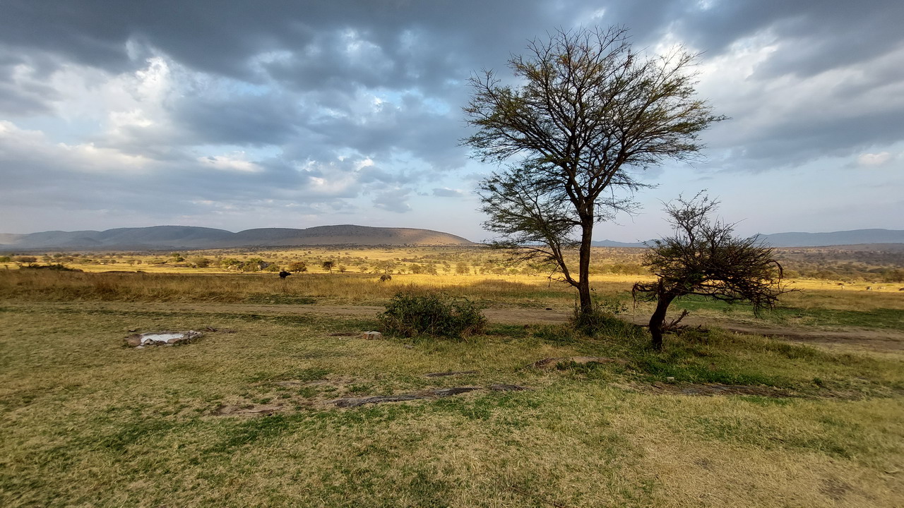 Serengeti – Mara River