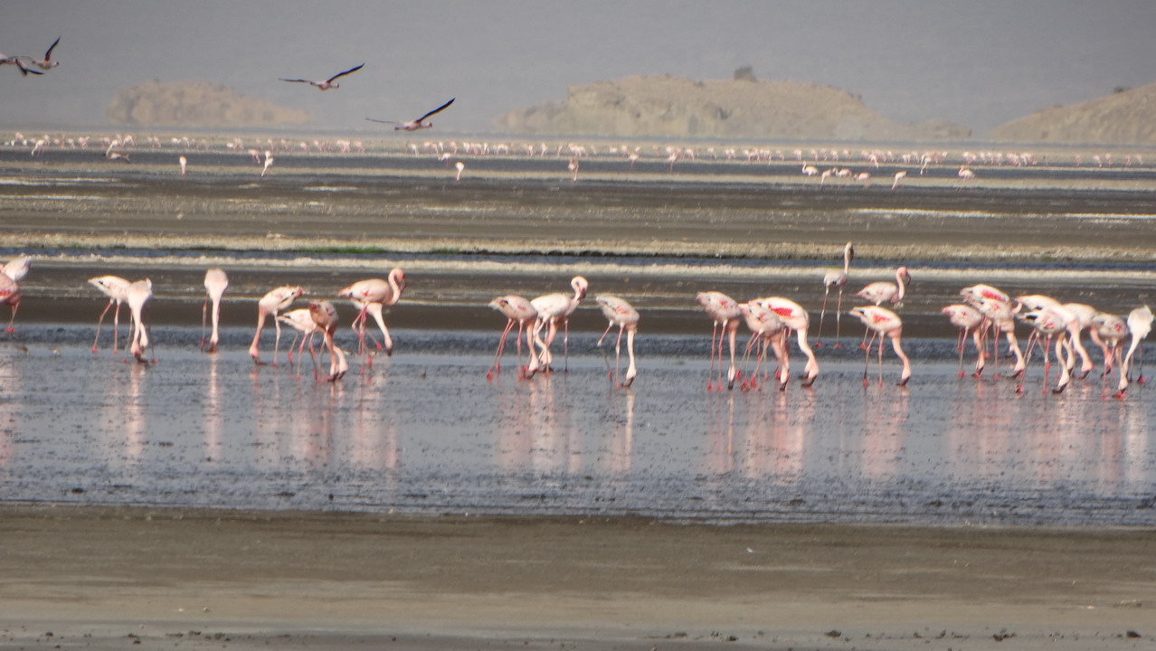 Lake Natron