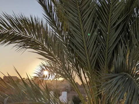 Au revoir Timimoun, bonsoir Alger