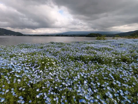 Alpes Japonaises III