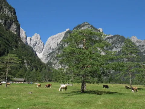 발 몬타나이아(Val Montanaia)와 바종(Vajont)의 종탑