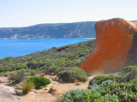 Kangaroo-Insel