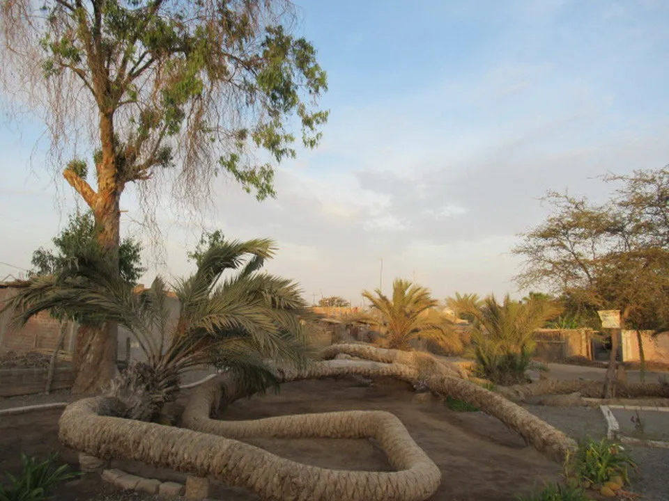 Islas Ballestas e Huacachina