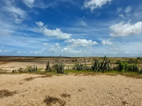 Excursion dans la haute Guajira – 3