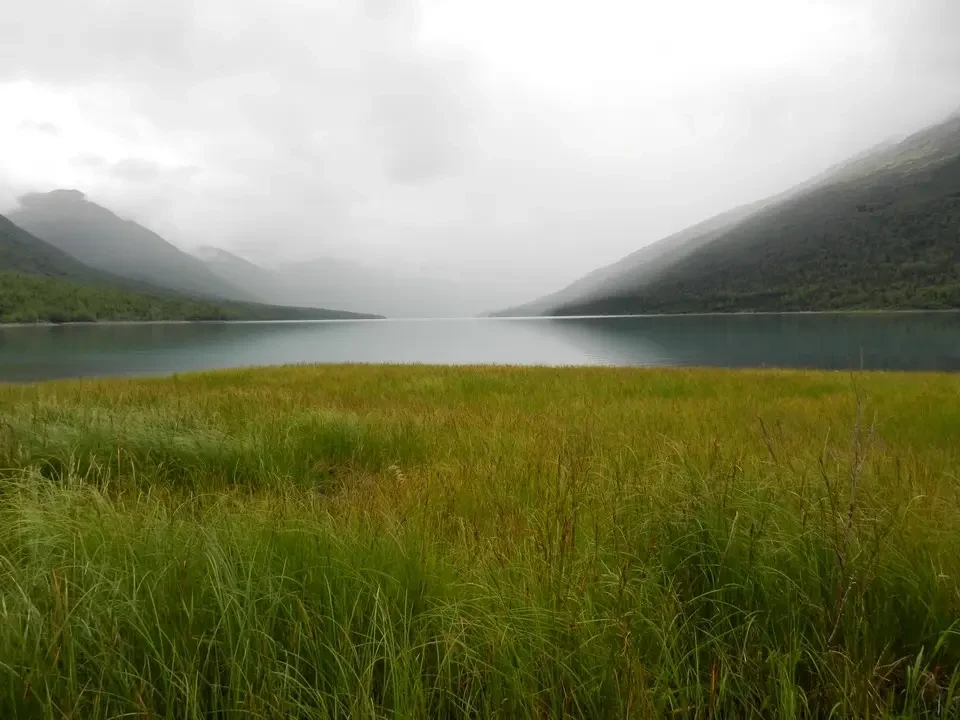 Un lago tranquillo è circondato da montagne nebbiose e vegetazione lussureggiante.