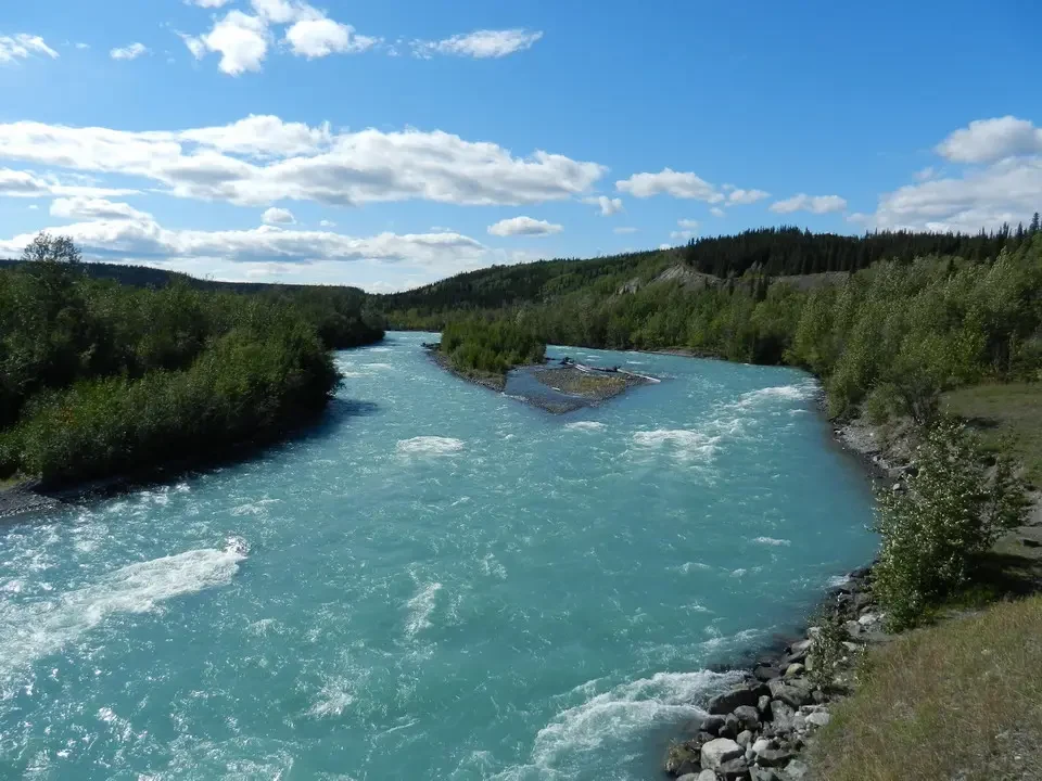A turquoise river flows through a green, wooded forest.