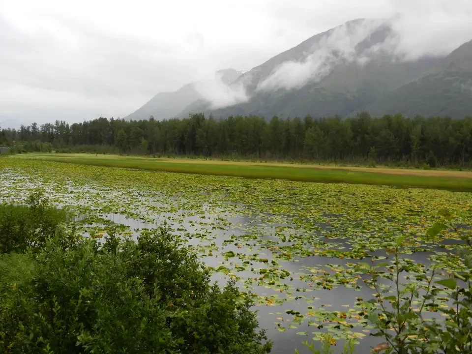 Fog covered mountain landscape above a body of water and lush greenery.