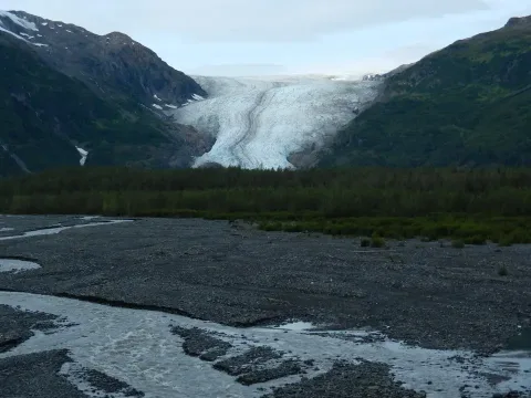Kenai