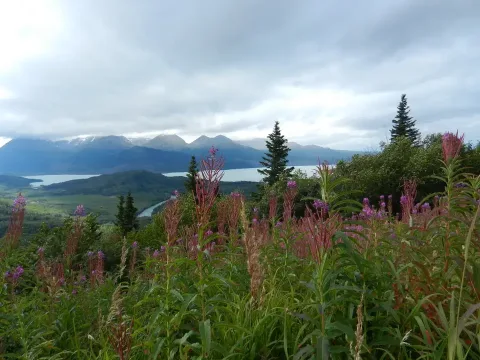 Sterling Hwy