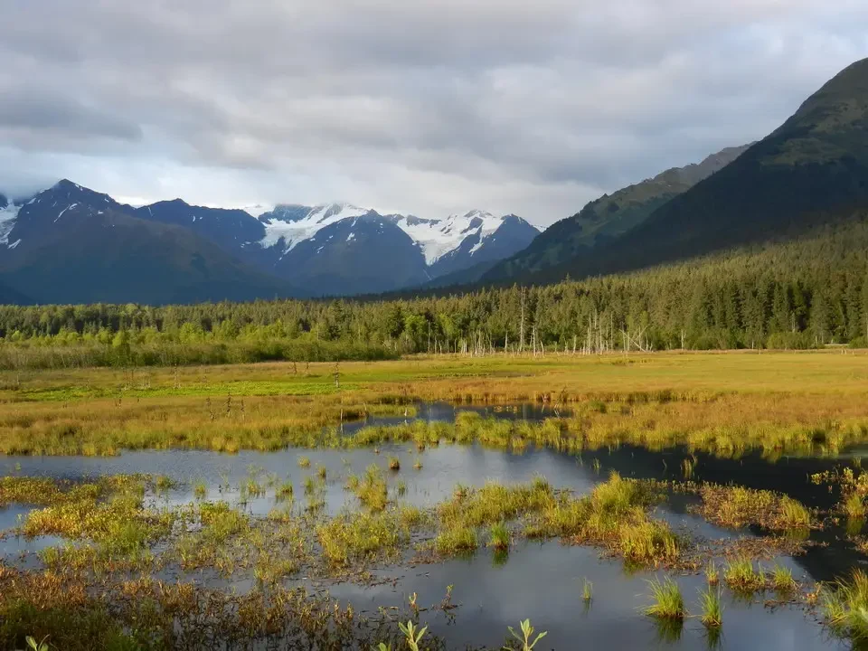A mountain landscape with an alpine lake and a forest in the foreground.