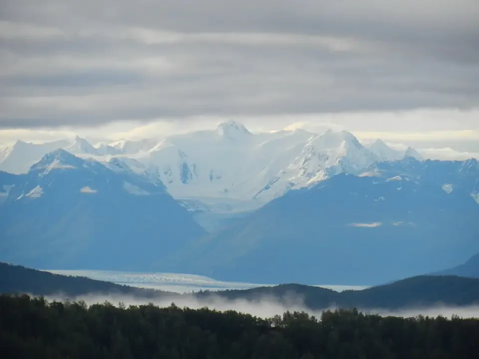 Snow-capped mountains stand out under a cloudy sky above a forested landscape.