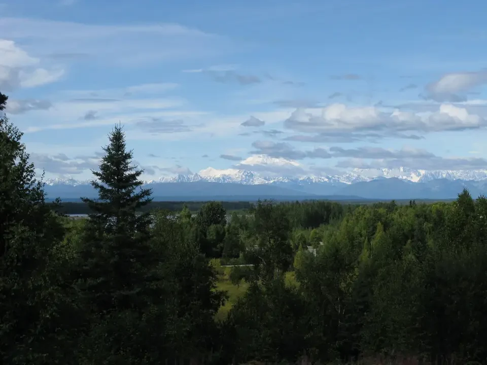 A snowy mountain landscape with green forests in the foreground.