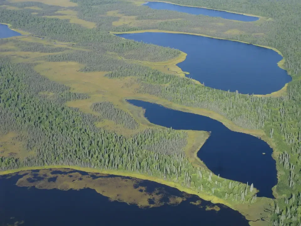 An aerial view of lakes and snowy forests in Alaska.