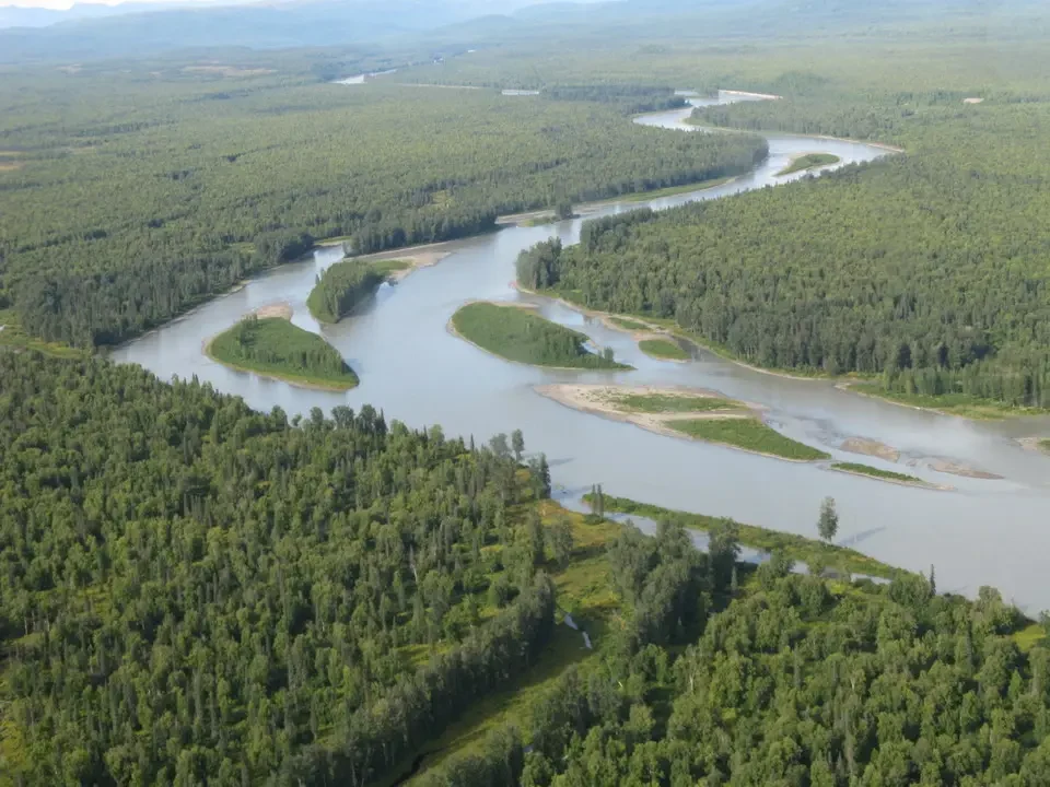A river meanders through a large, forested, flat area.