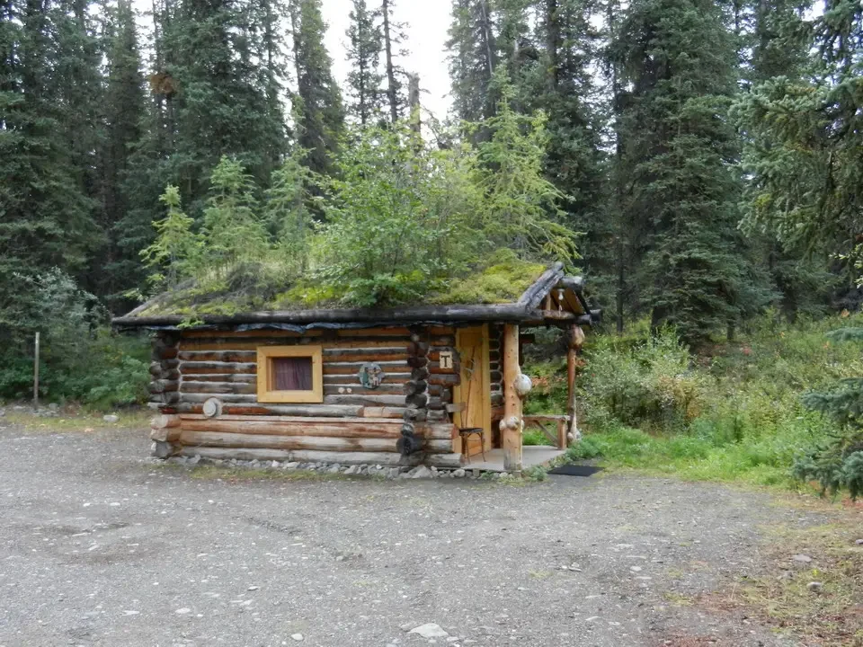 A small wooden cabin with a grass roof sits among the trees.