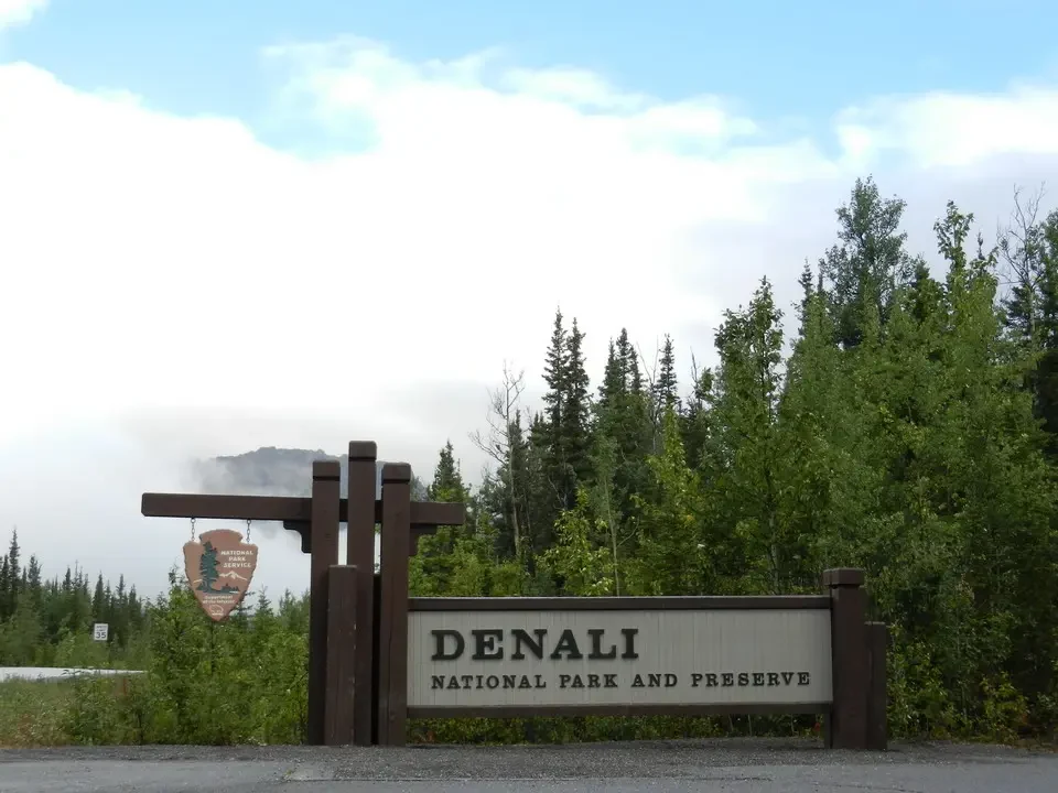 Denali by Land