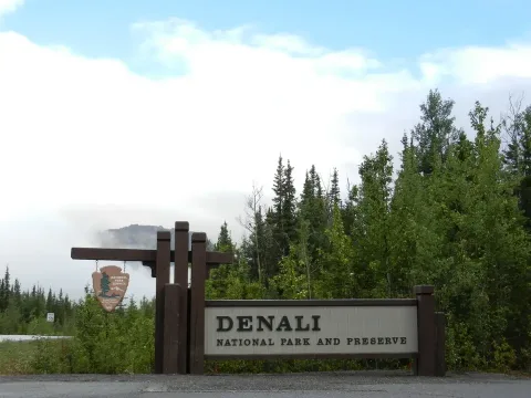 Denali by Land