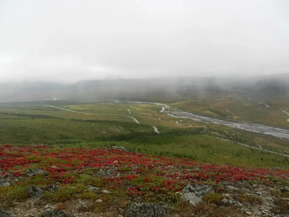 A river flows through a mountain landscape covered in greenery and red flowers.