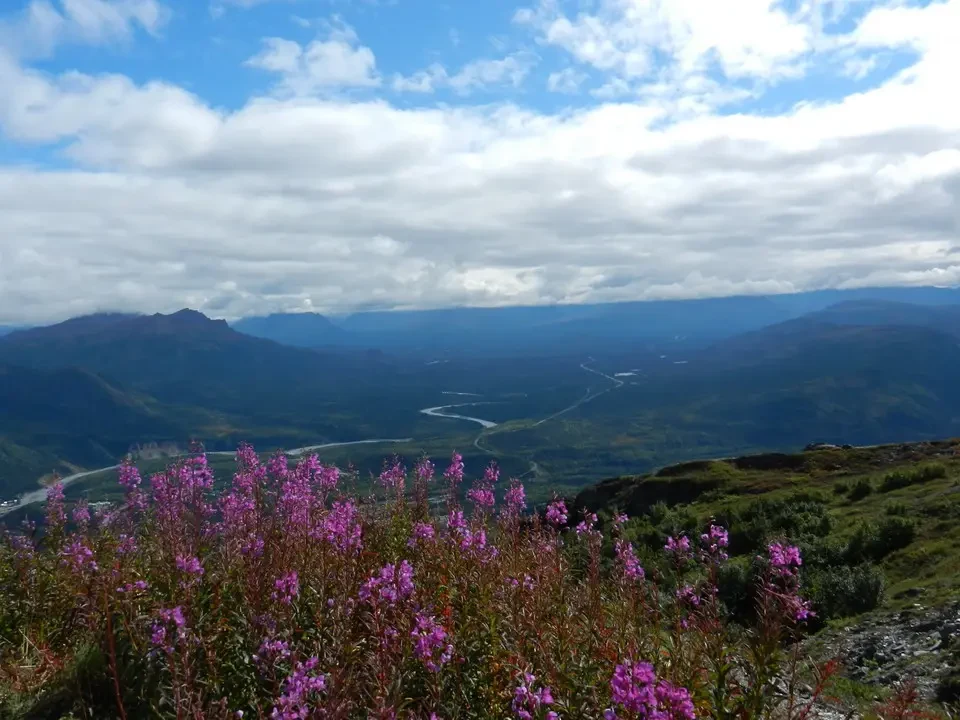Panoramic view of mountains and valleys with flowering vegetation in the foreground.