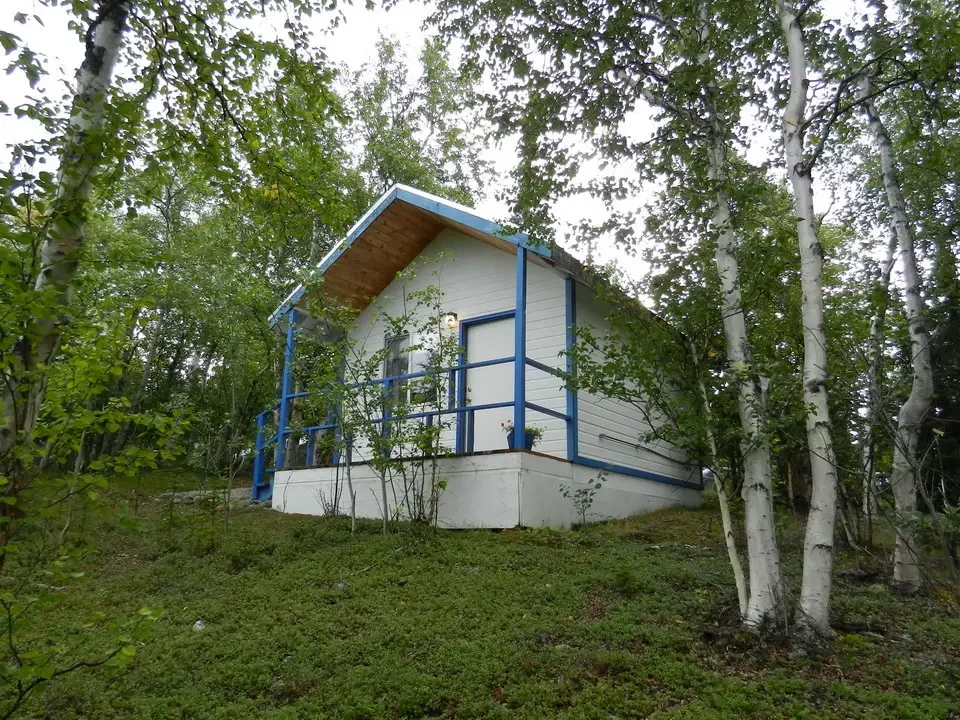 A log cabin with a blue balcony is located in a wooded area.