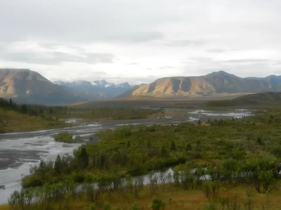 A vast river landscape with rolling hills and wet vegetation under a cloudy sky.