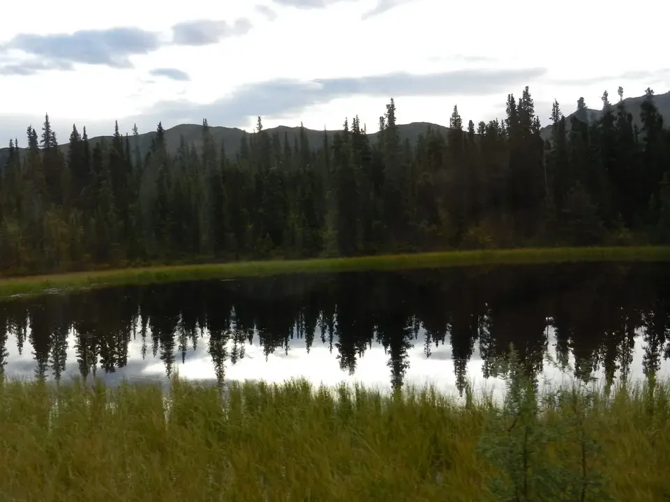 Reflections of the forest and the sky on the water of a lake.