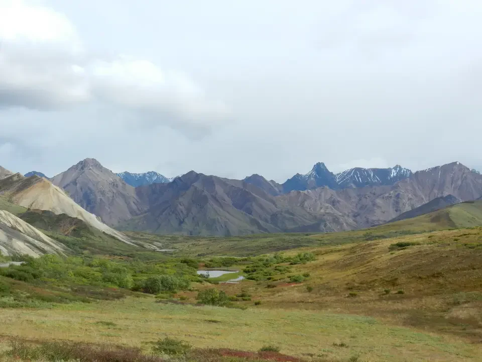 A panoramic view of snow-capped mountains and wild landscape.