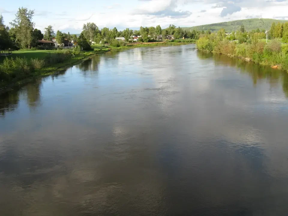 A tranquil river flows through a green valley with lush trees.