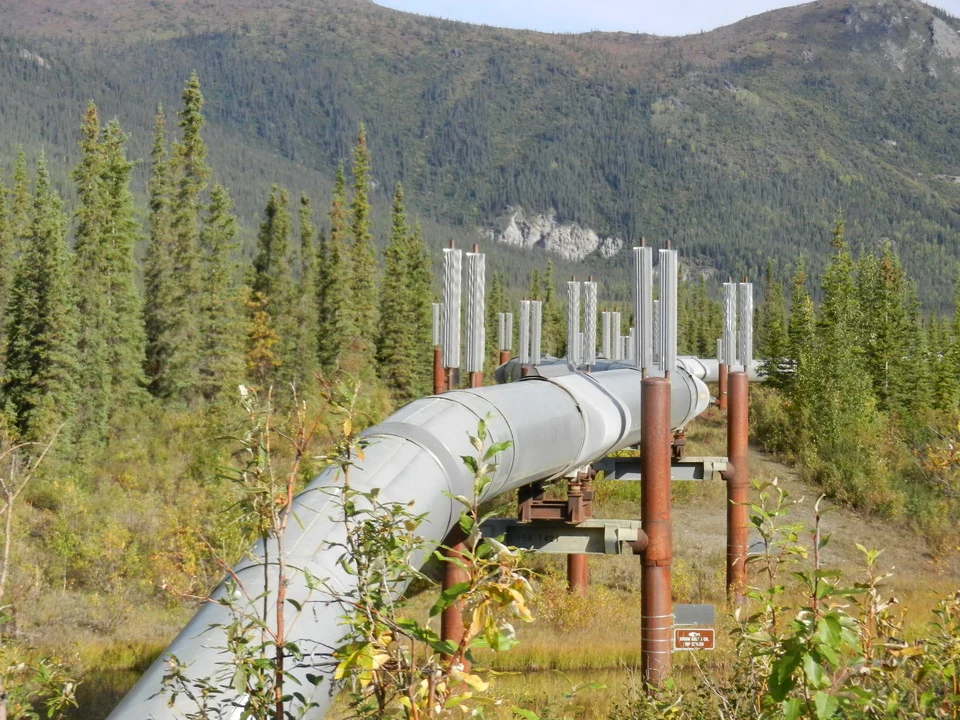 A metal pipe pipeline crosses a wooded and mountainous landscape.
