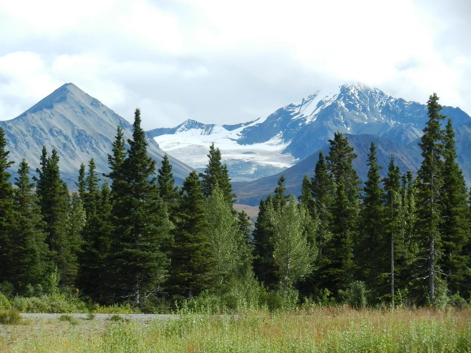 A panoramic view of snow capped mountains with a line of trees in the foreground.