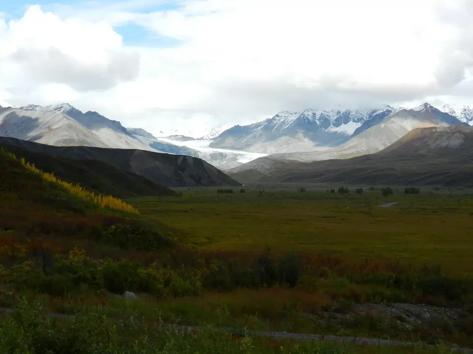 Snow-capped mountains with glaciers stand out on a green plain.