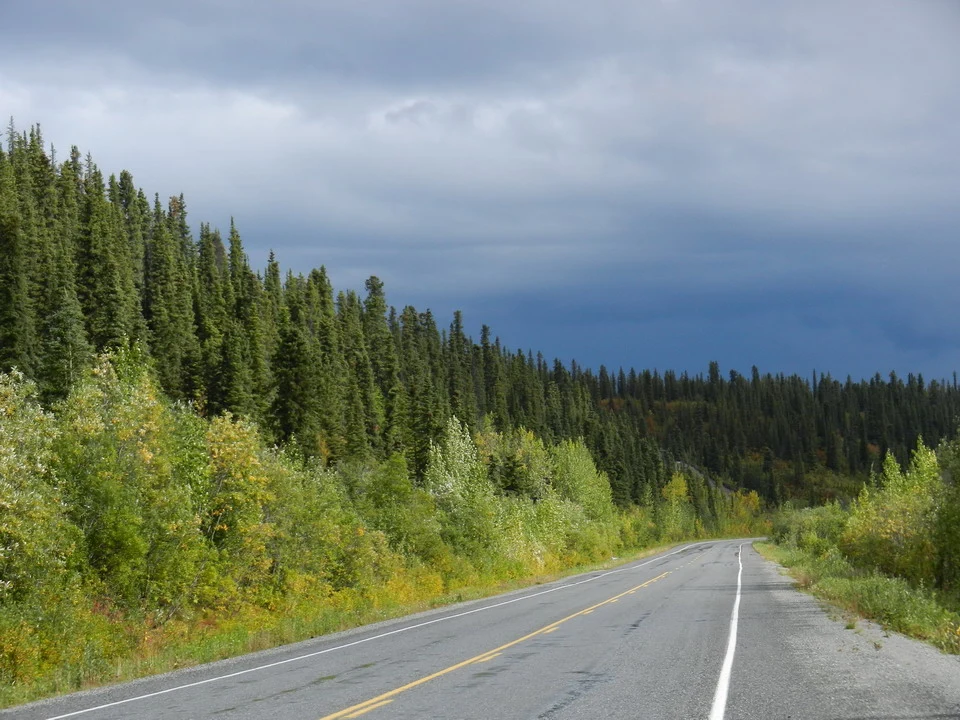 An asphalt road passes through a forested landscape under a cloudy sky.