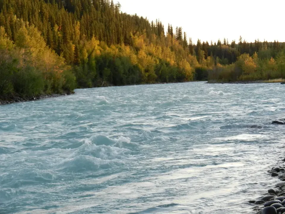 A river flows through dense forest vegetation and golden trees.