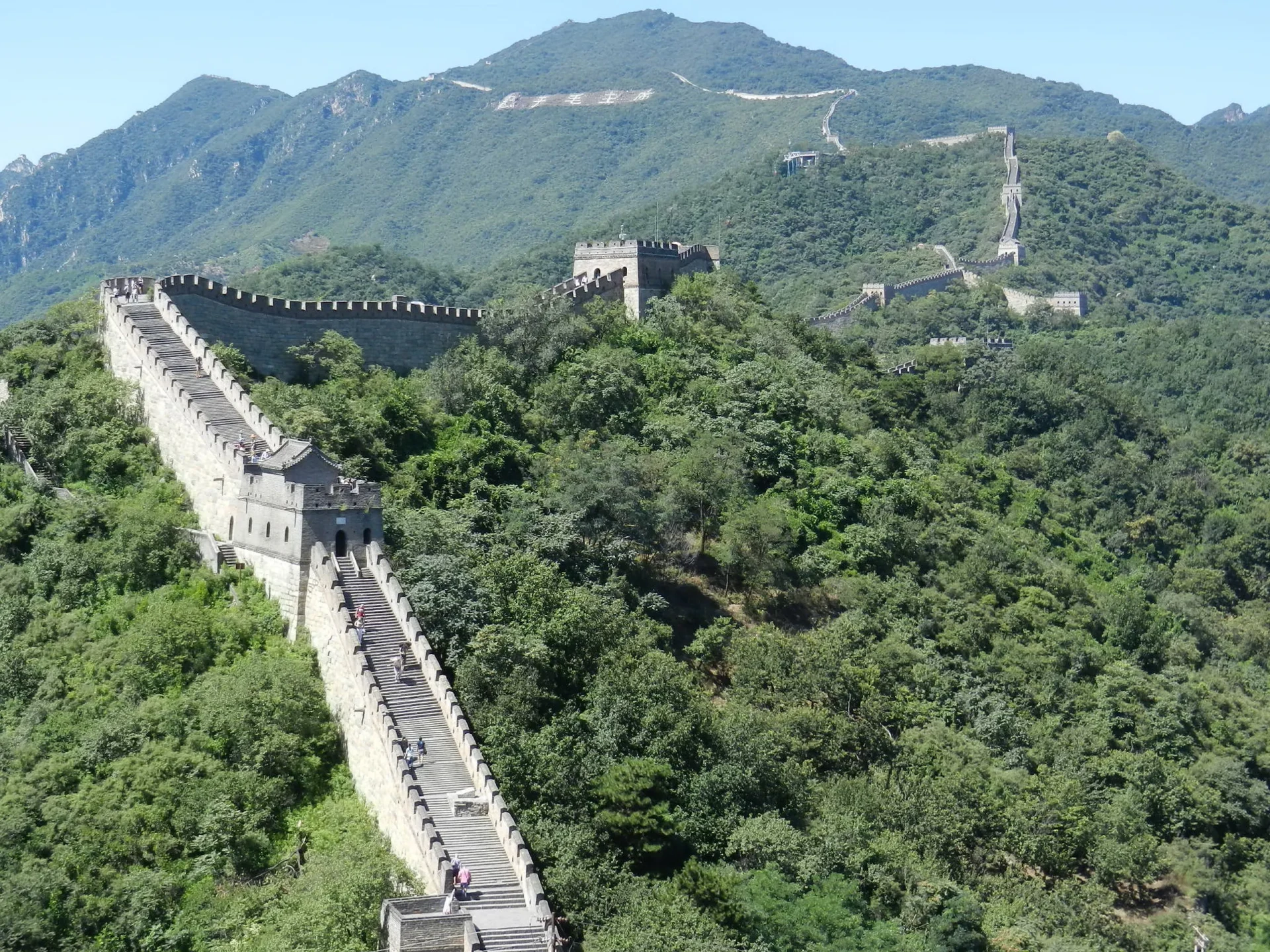 La Grande Muraglia serpeggia attraverso le colline verdi della Cina.