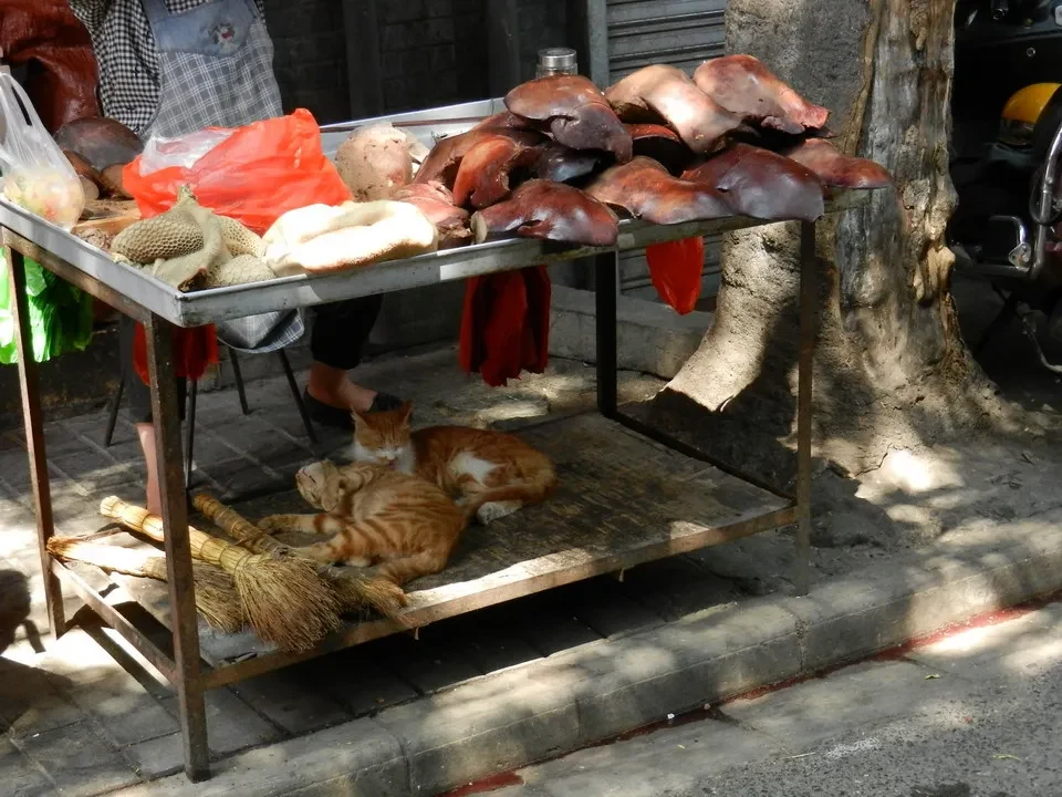 Esposizione di carne e prodotti in un mercato all'aperto cinese.