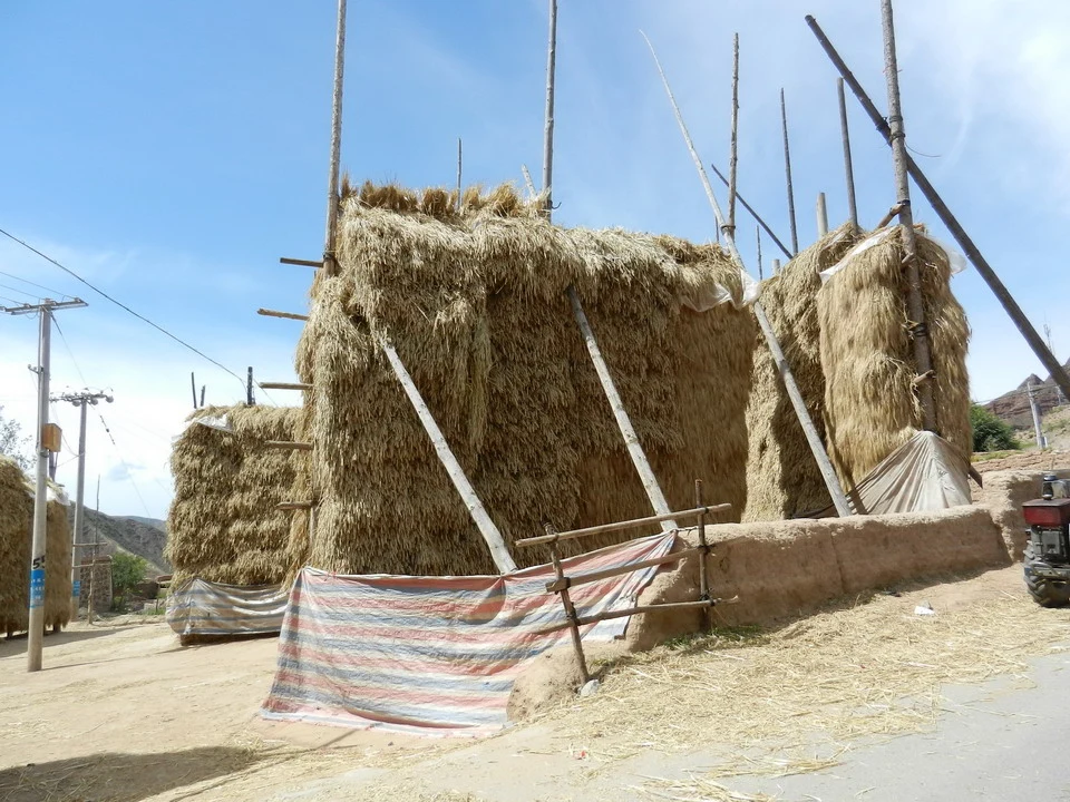 Fienili di paglia all'aperto in una zona rurale della Cina.