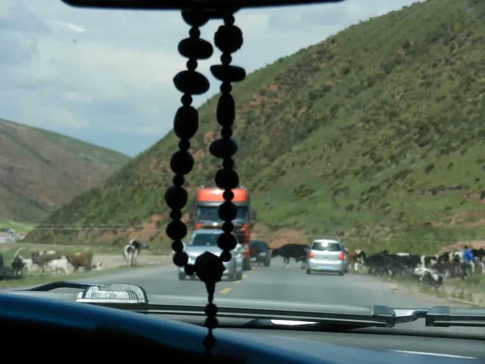 Un cavallo da tiro attraversa una strada collinare in Cina.