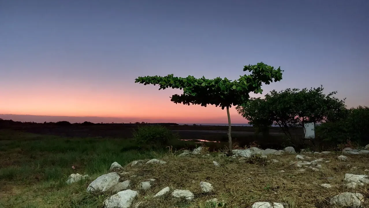 Paesaggio collinare colombiano al tramonto con alberi in primo piano.