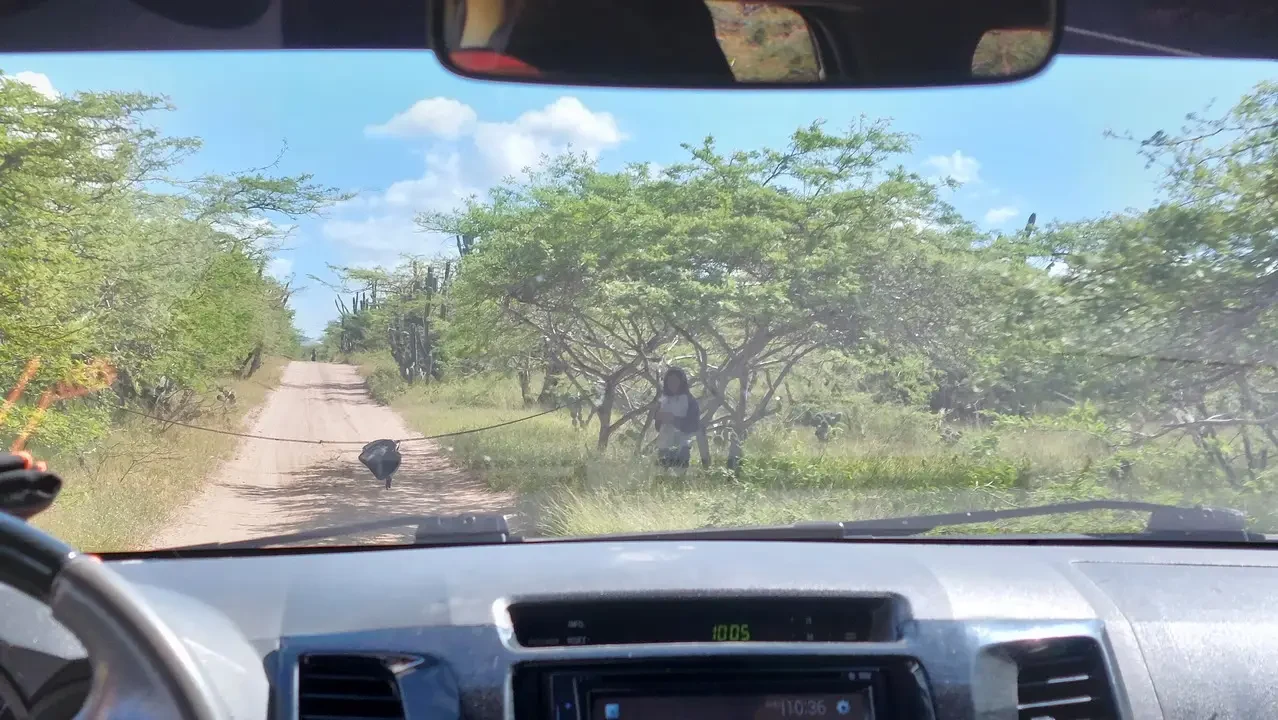 Un sentiero sterrato attraversa un paesaggio verde e boscoso in Colombia.