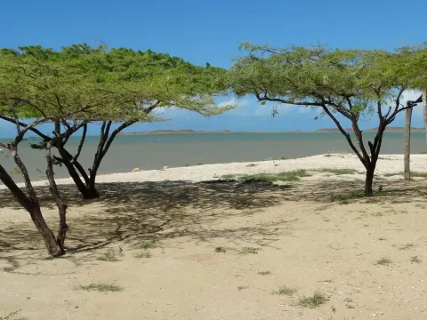 Tour dell’Alta Guajira – 2