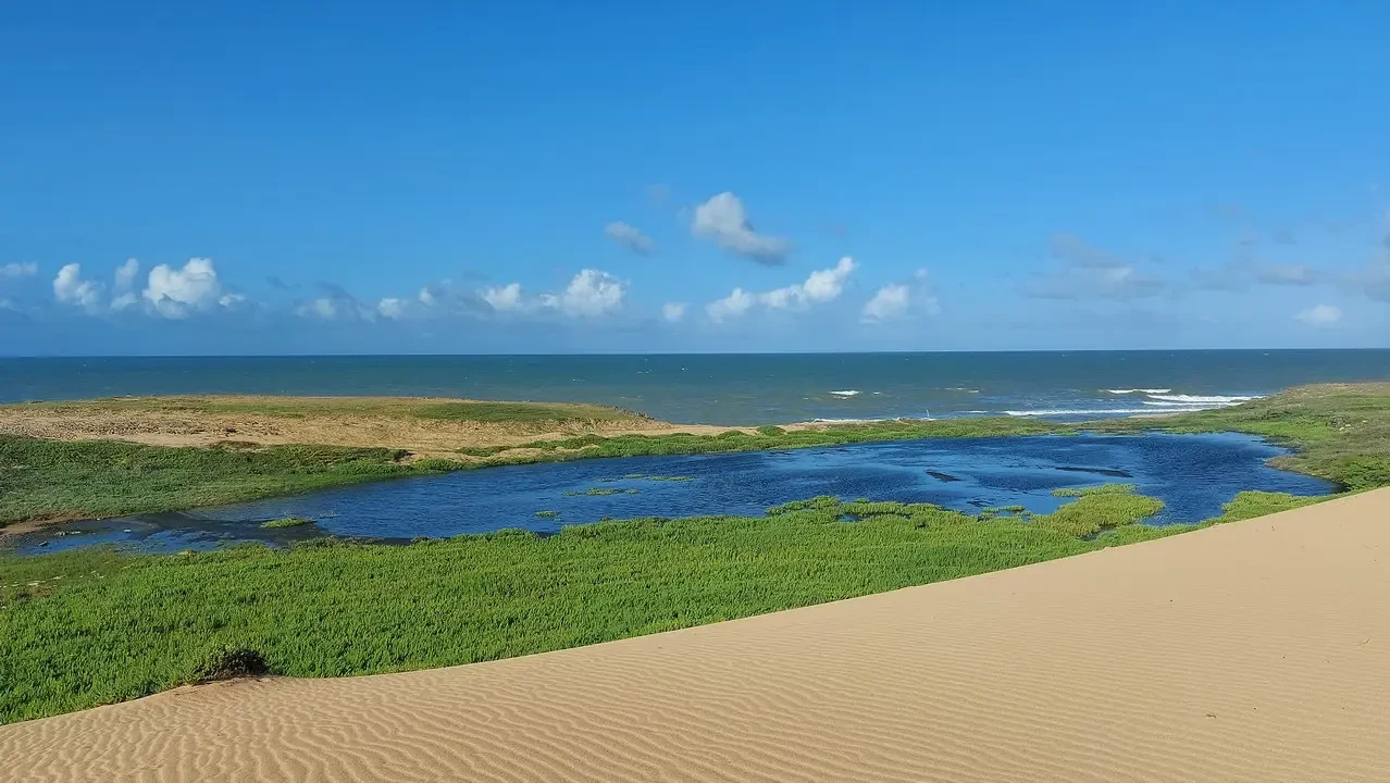 Dune e vegetazione verde lungo la costa in Colombia.